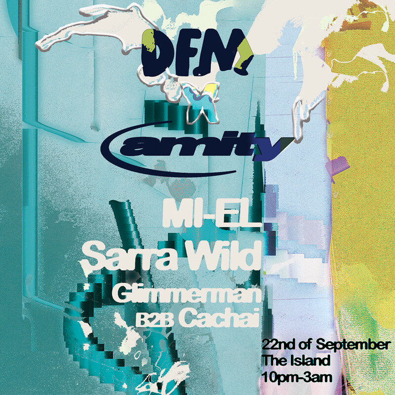 Amity X DFM w/ MI-EL, Sarra Wild at The Island