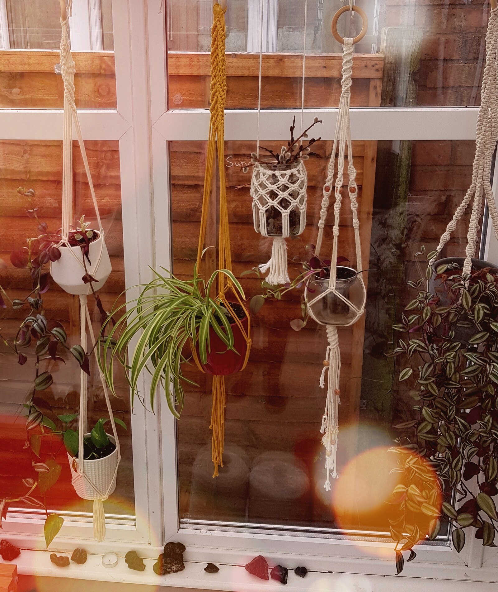 Macrame Magic: Crafting Beautiful Plant Hangers at Bristol Folk House