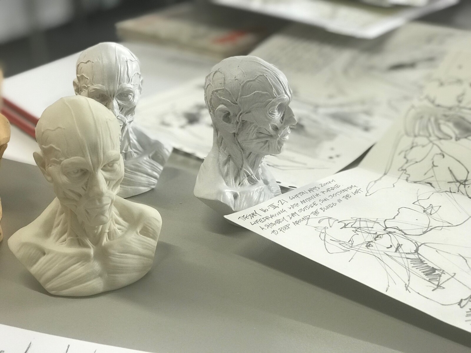 Anatomy and Physiology: the Basics at Bristol Folk House
