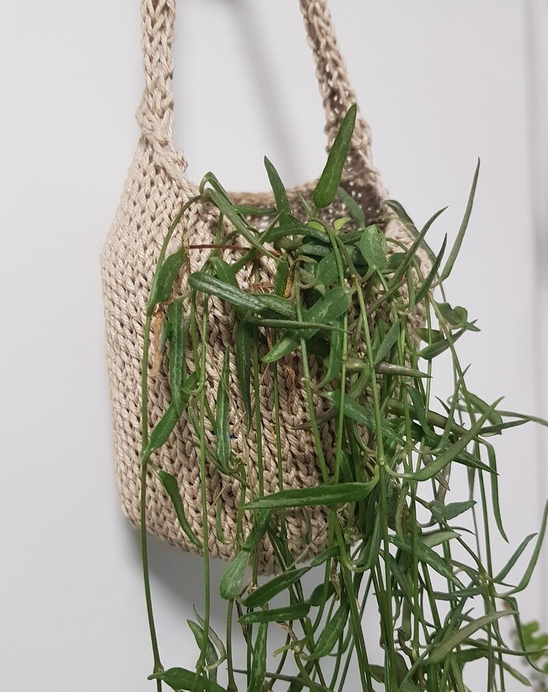 Crochet Houseplant Containers at Bristol Folk House