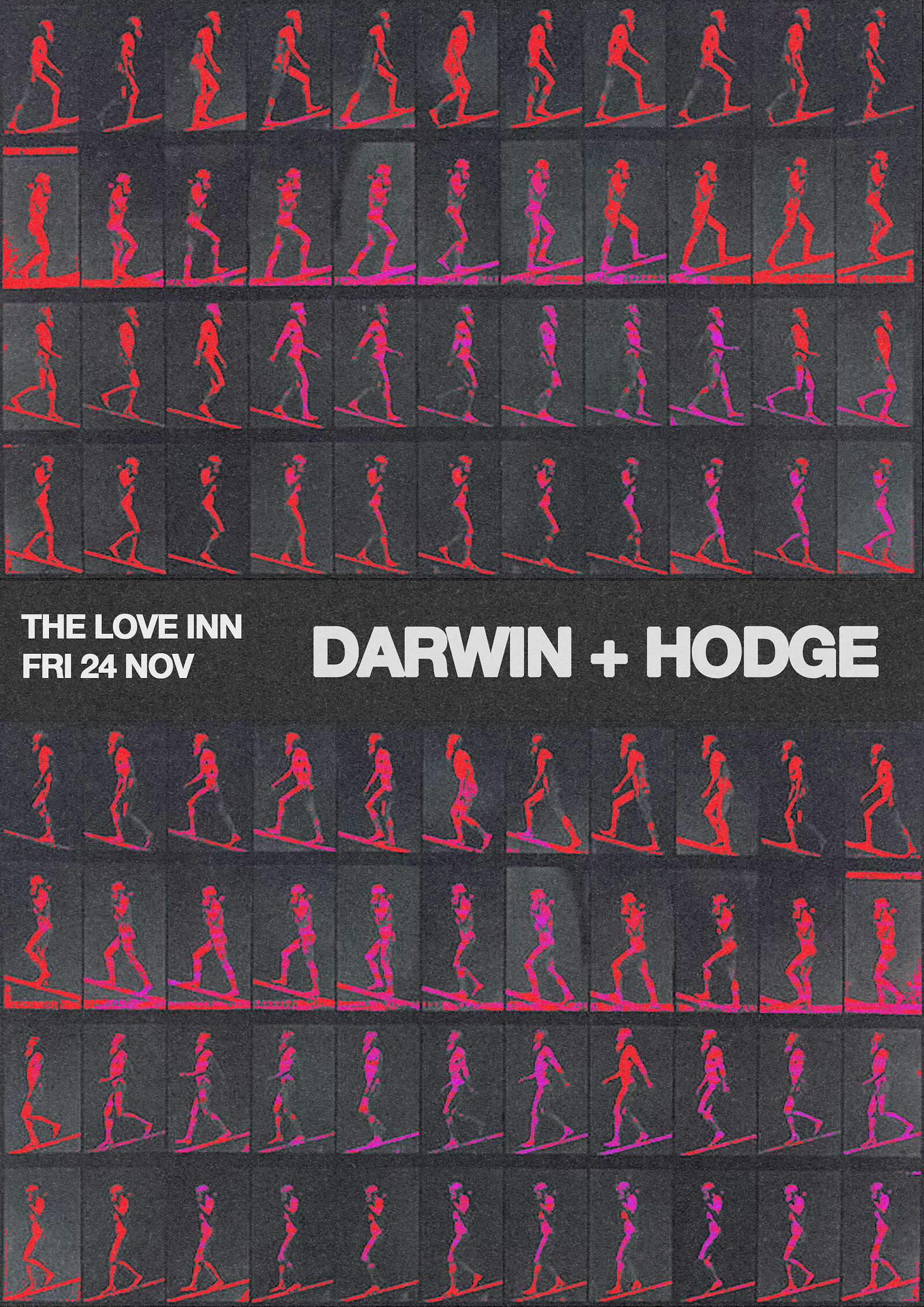 Hodge B2B Darwin at The Love Inn
