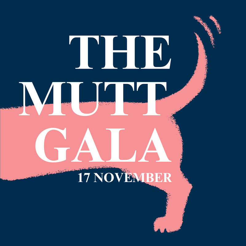 The Mutt Gala at Bristol Aquarium