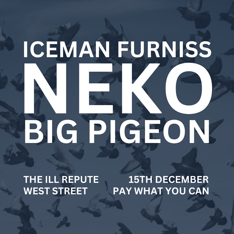 Iceman Furniss + Neko + Big Pigeon at The Ill Repute
