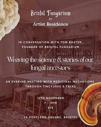 Bristol Fungarium at The Artist Residence at Artist Residence Bristol