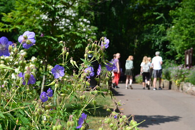Deep Time Walk for Earth Day at Ashton Court Estate