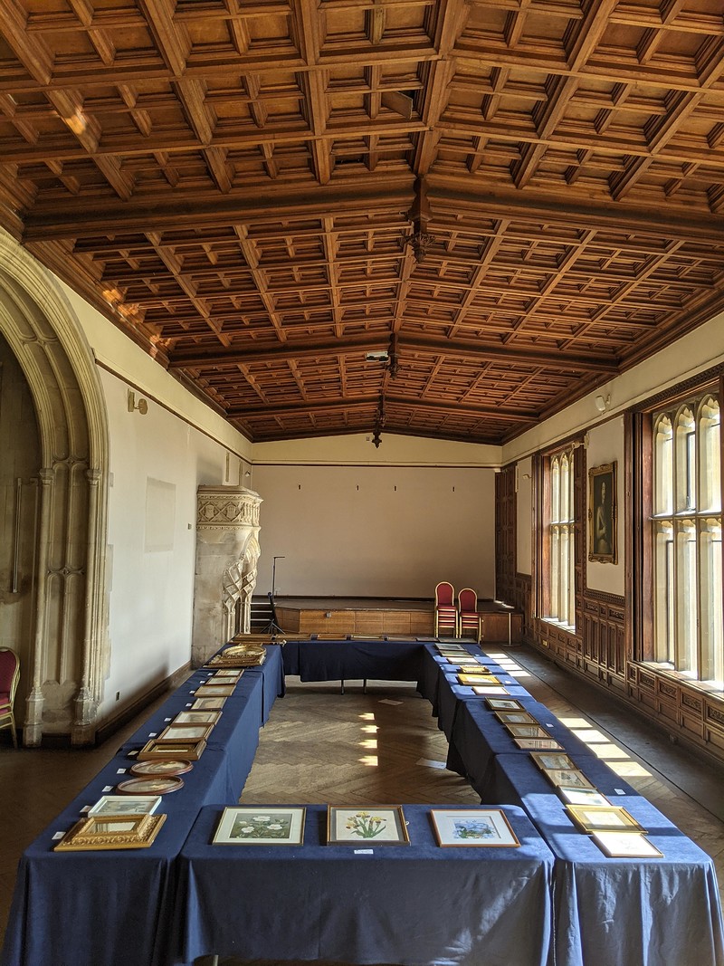 Pop Up Gallery and Art Sale at Ashton Court