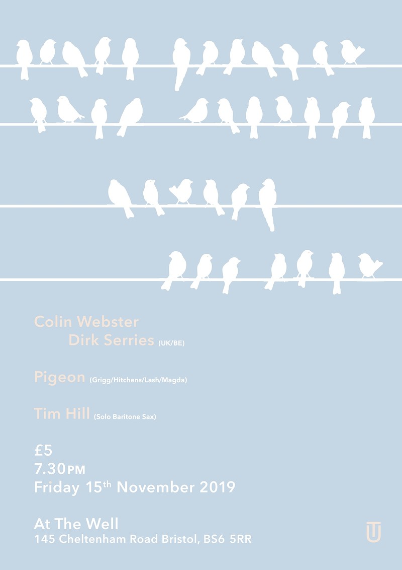 Webster / Serries - Pigeon - Tim Hill at At the Well