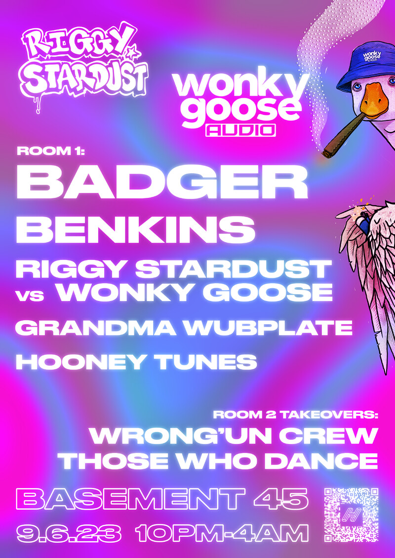 Riggy Stardust x Wonky Goose at Basement 45