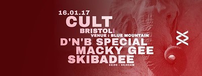 Cult ~ ReFreshers // Macky Gee & Skibadee at Blue Mountain