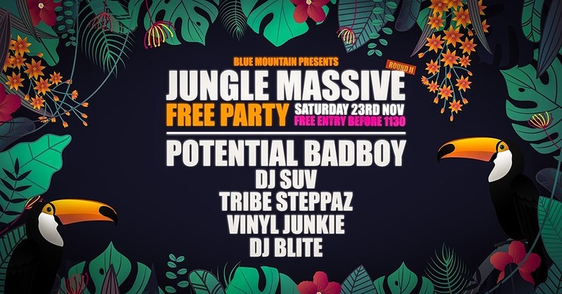 Jungle Massive Free Party: Bristol at Blue Mountain