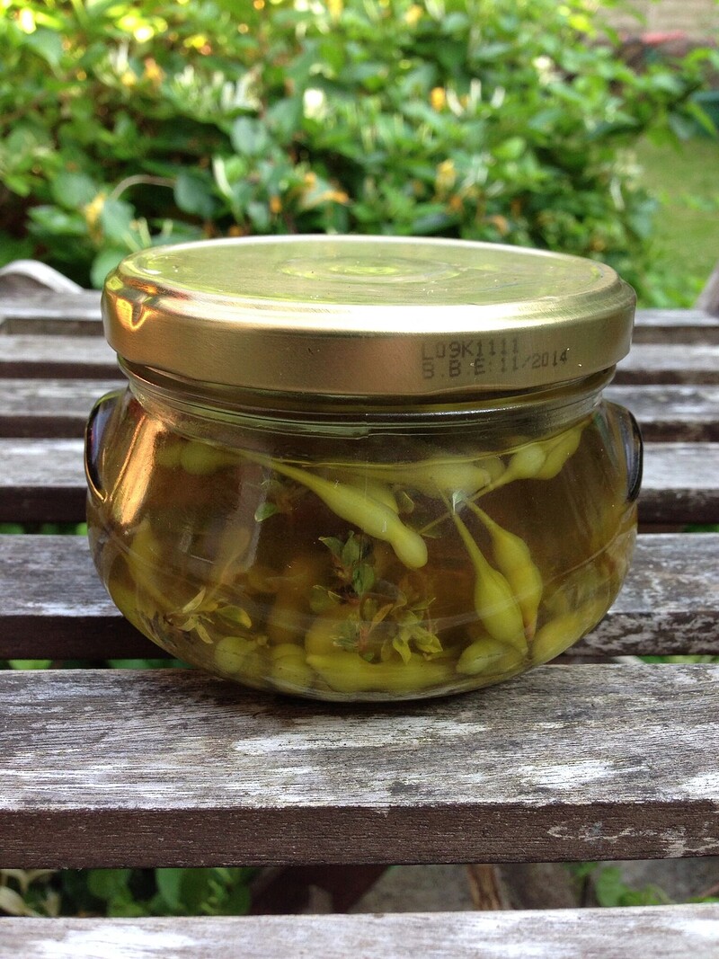 Made in Bonnington presents: Fermenting with Martin Bailey at Bonnington Walk Community Building and Garden