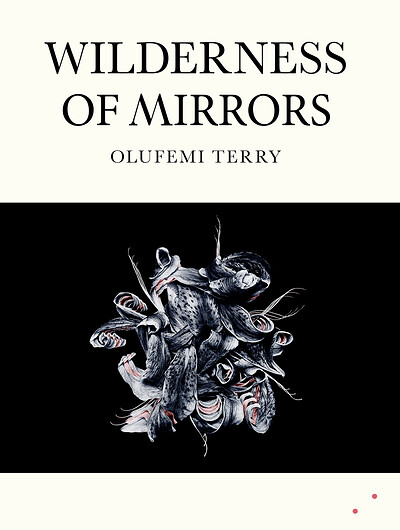 Wilderness of Mirrors launch with Olufemi Terry at Bookhaus