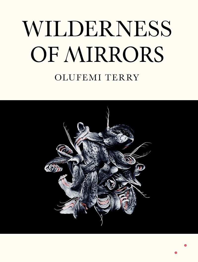 Wilderness of Mirrors launch with Olufemi Terry at Bookhaus
