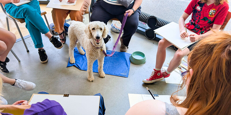 Life Drawing with Dogs at Boston Tea Party, Unit 7, The Square, Long Down Ave, Stoke Gifford, Bristol BS16 1GU