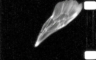 BEEF Presents: Environmental Arts & Collective Care at BRICKS