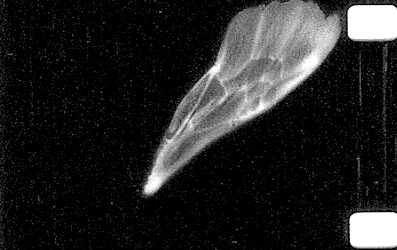 BEEF Presents: Environmental Arts & Collective Care at BRICKS