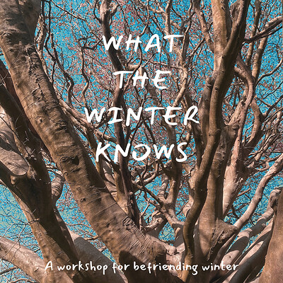'What the Winter Knows' - A Seasonal Workshop for Befriending Winter at Bridge Farm