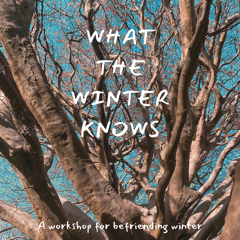 'What the Winter Knows' - A Seasonal Workshop for Befriending Winter at Bridge Farm