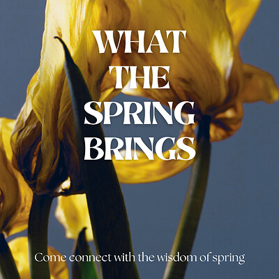 What the Spring Brings - A seasonal connection workshop at Bridge Farm