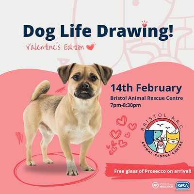 Dog Life Drawing - Valentine's Edition at Bristol Animal Rescue Centre