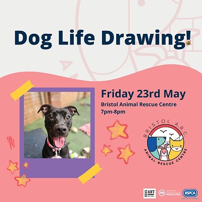 Dog Life Drawing with Bristol A.R.C at Bristol Animal Rescue Centre