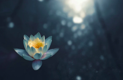 Meditation for Grief at Colston Hall Foyer