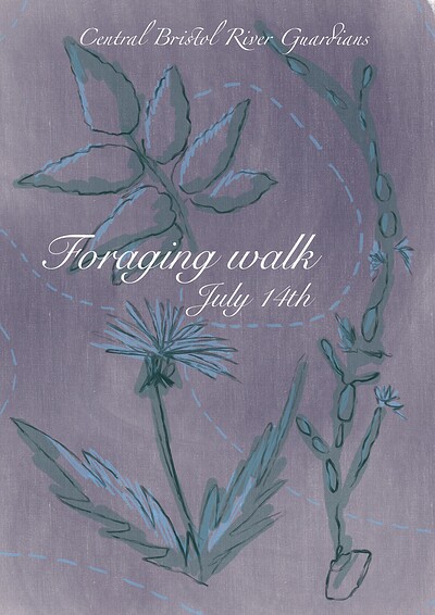 Foraging Walk at Bristol Castle Park
