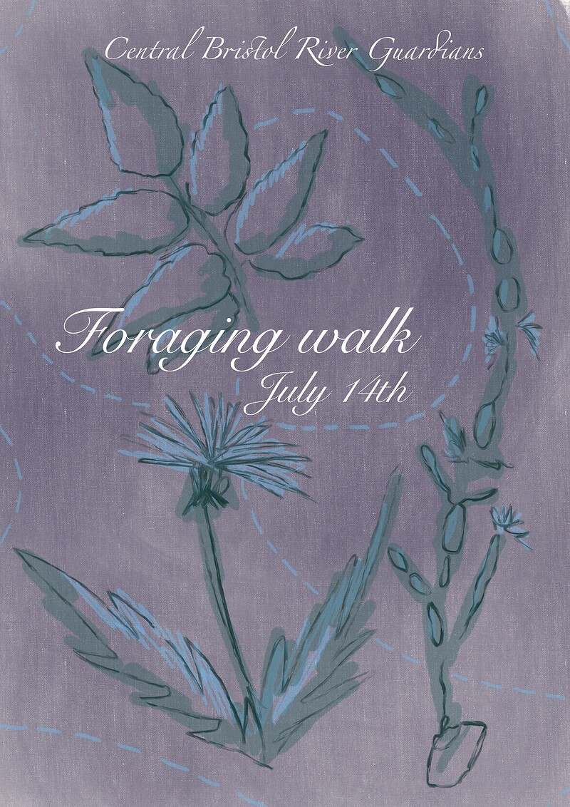 Foraging Walk at Bristol Castle Park