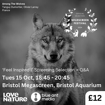'Feel Inspired 1'  Wildlife Film Screening + Q&A at Bristol Megascreen