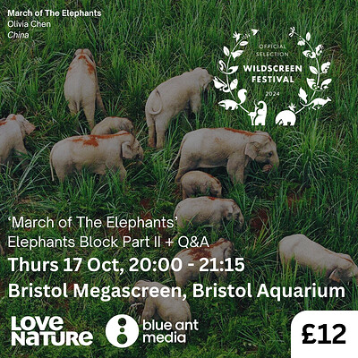 'March of the Elephants' Film Screening + Q&A at Bristol Megascreen