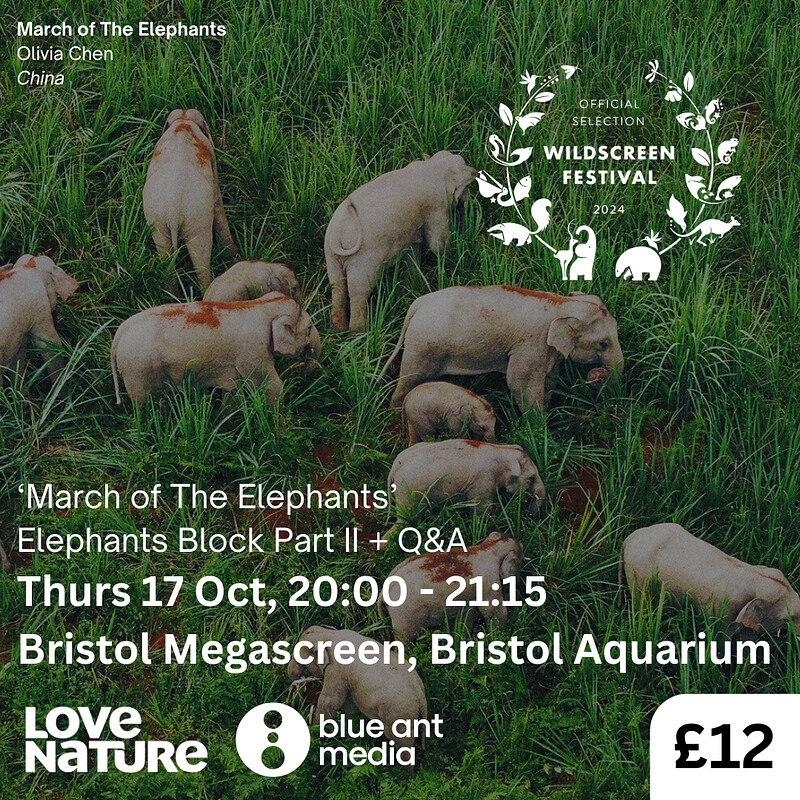 'March of the Elephants' Film Screening + Q&A at Bristol Megascreen