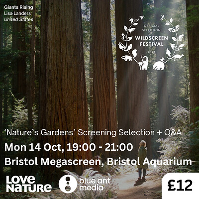 'Nature's Gardens' Screening Selection + Q&A at Bristol Megascreen
