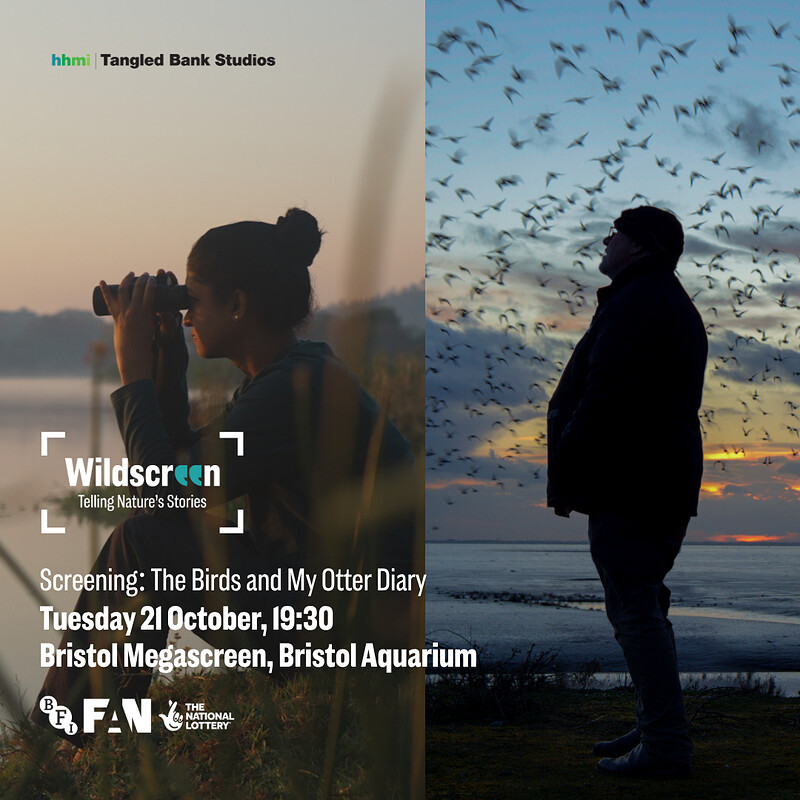 Screening & Q&A: My Otter Diary and The Birds at Bristol Megascreen