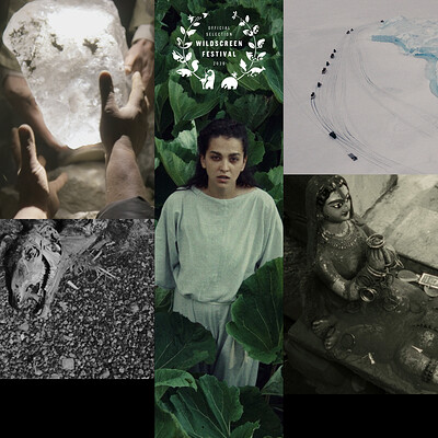 Shorts: Folk Futures Q&A at Bristol Megascreen