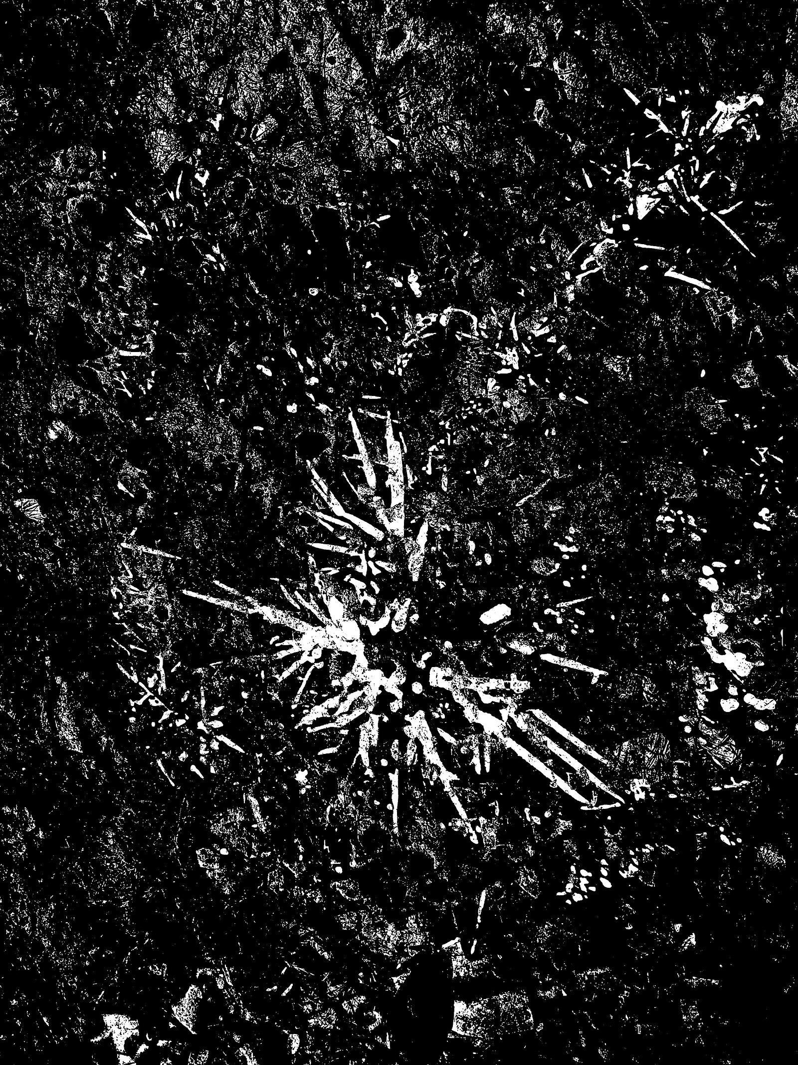 DISTRAXI / PALE WORLD / PLAYWORKER + MORE at Cafe Kino