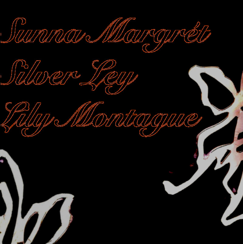 Sunna Margrét + Silver Ley + Lily Montague at Cafe Kino