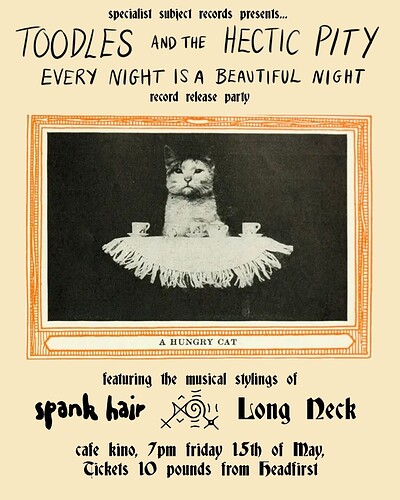 Toodles & The Hectic Pity, Spank Hair & Long Neck at Cafe Kino