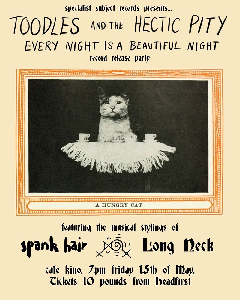 Toodles & The Hectic Pity, Spank Hair & Long Neck at Cafe Kino