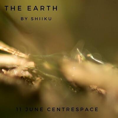 THE EARTH at Centrespace Gallery