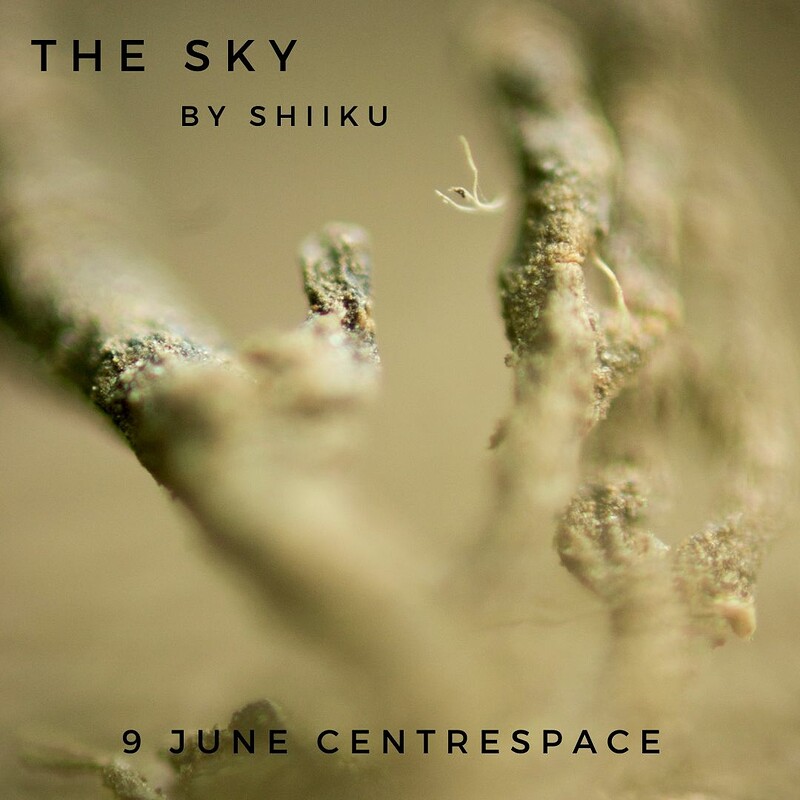 THE SKY at Centrespace Gallery