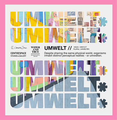 UMWELT - Preview Evening at Centrespace Gallery