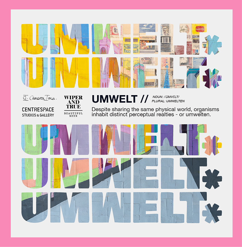 UMWELT - Preview Evening at Centrespace Gallery