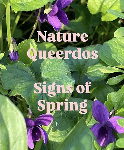 Nature Queerdos: Signs of Spring at Clevedon