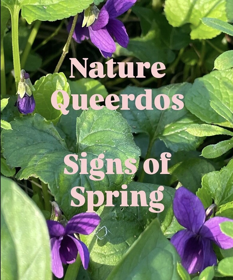 Nature Queerdos: Signs of Spring at Clevedon