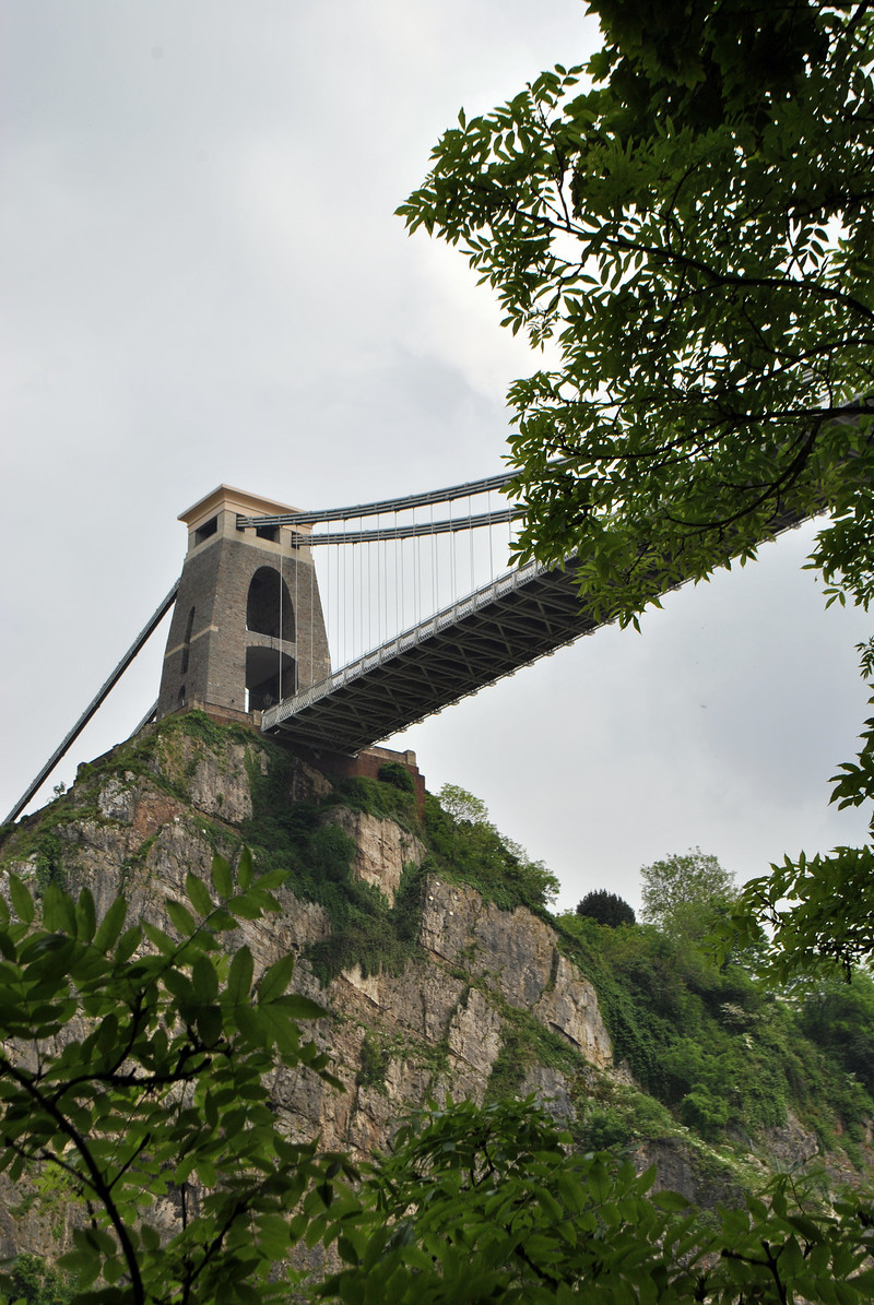 Art Exhibition: Rare Native Plants of Avon Gorge at Clifton Suspension Bridge Visitor Centre