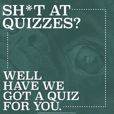 Questionable Quizzes at Cloak
