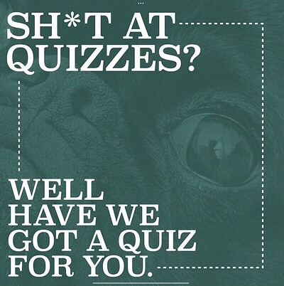 Questionable Quizzes at Cloak
