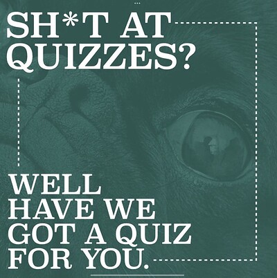 Questionable Quizzes at Cloak