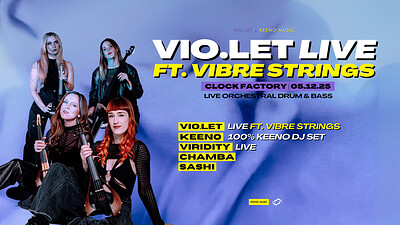 Vio.let ft. Vibre Strings | Clock Factory Headline at Clock Factory