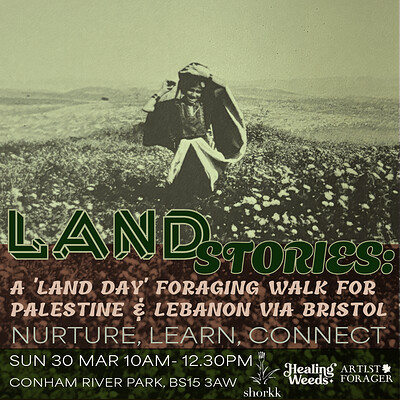Land Stories: Foraging & Reconnection on Land Day at Conham River Park